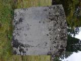 image number DSC_4302
